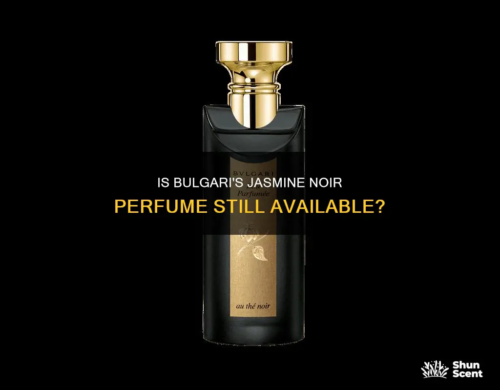 has bugari jasmine noir perfume been discontinued