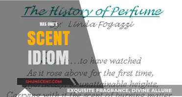 Has One's Scent Idiom: Unraveling the Meaning and Origins