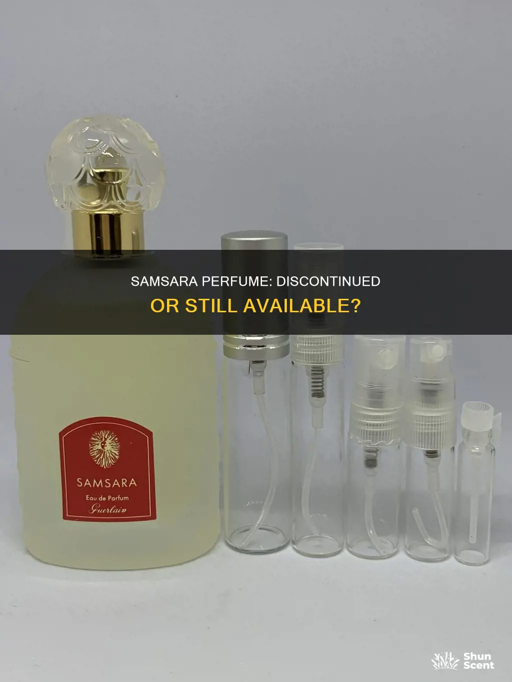 has samsara perfume been discontinued
