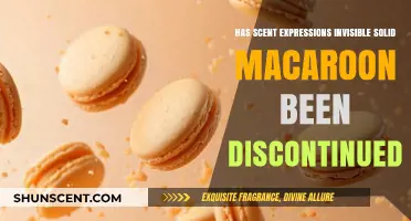 Is Scent Expressions Invisible Solid Macaroon Discontinued? Find Out Here