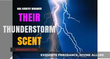 Scentsy's Thunderstorm Scent: Renamed or Still the Same?