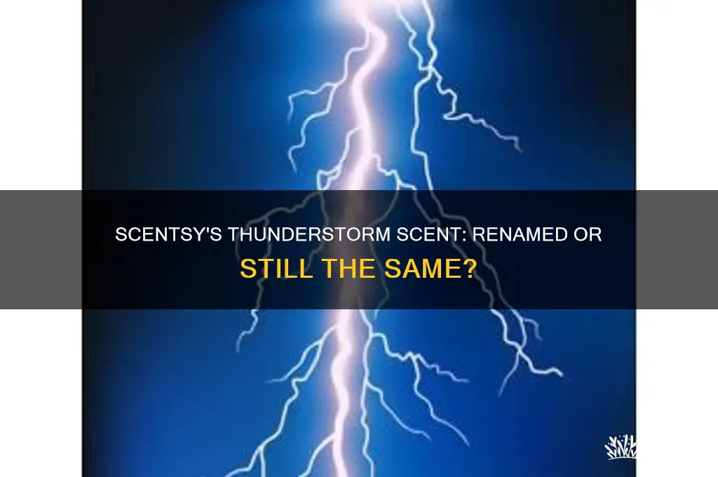 has scentsy renamed their thunderstorm scent