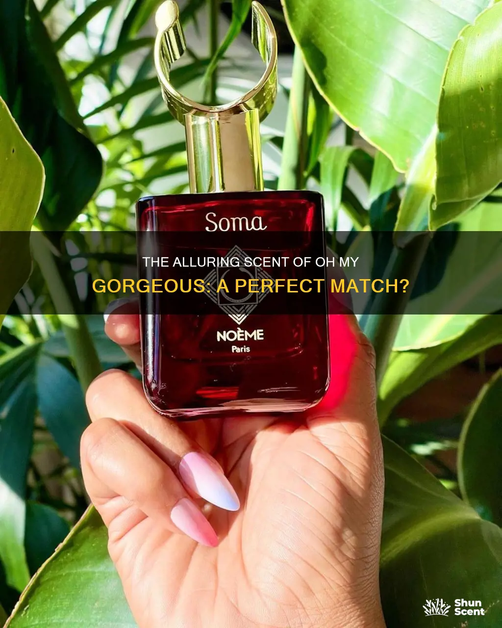 has someone matched oh my gorgeous cologne by soma