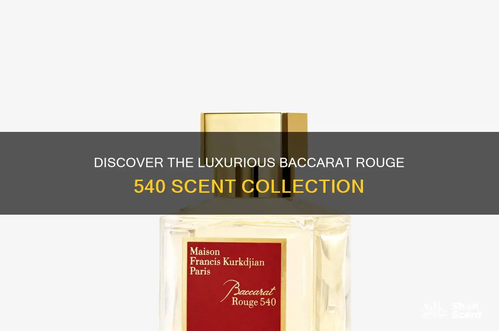 have a scent collection baccarat rouge 540