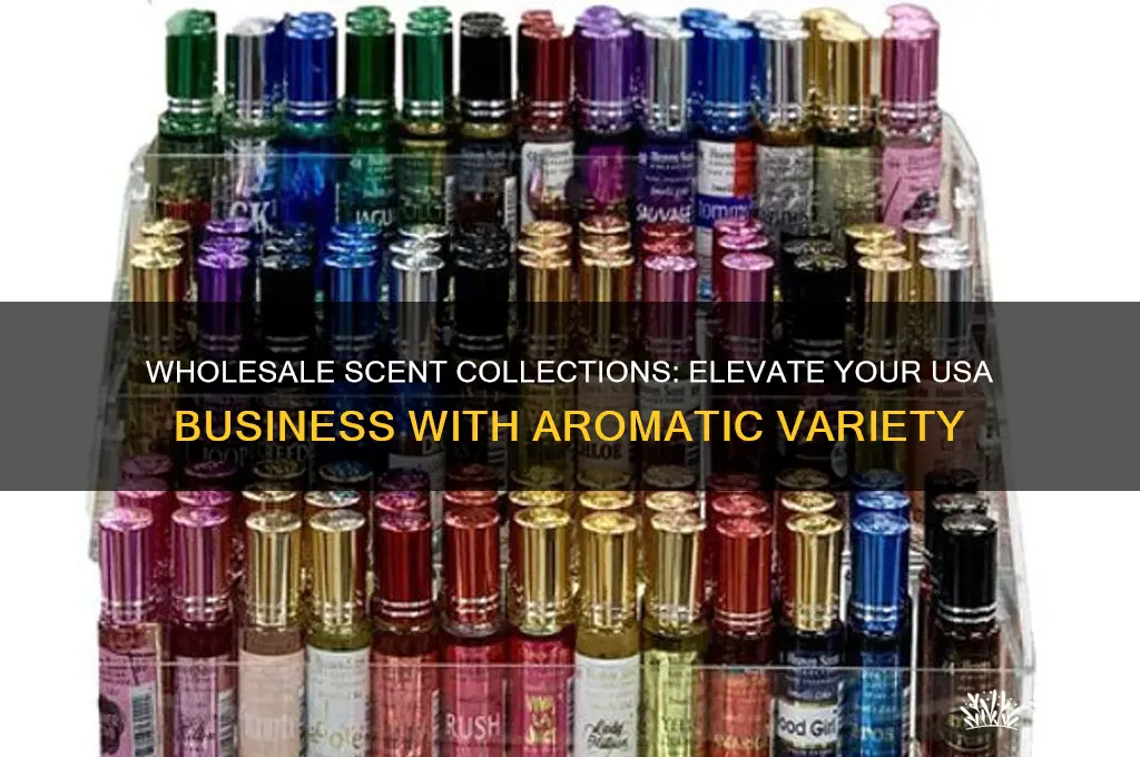have a scent collection wholesale usa