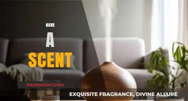 Unleash the Power of Scents: Transform Your Mood and Space