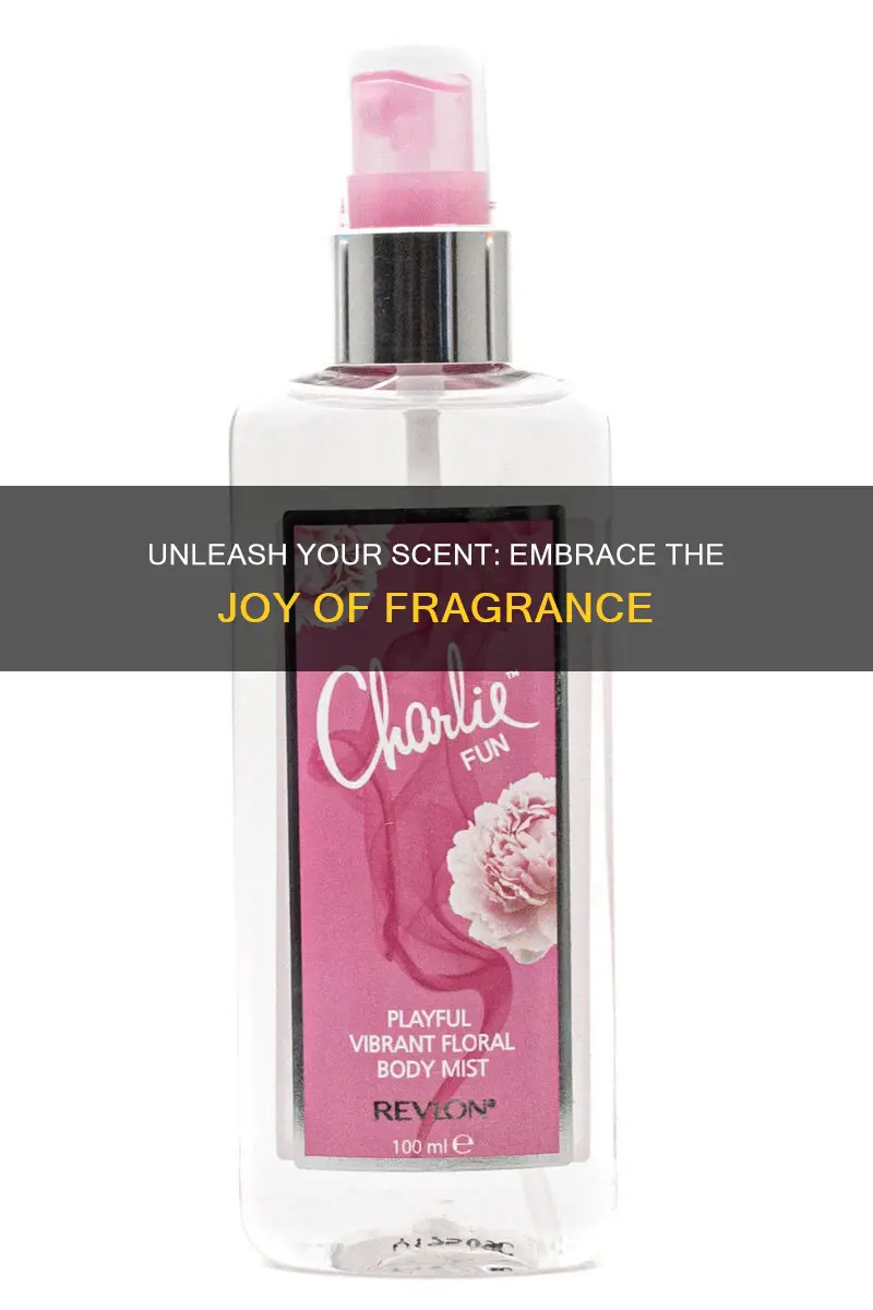 have fun fragrance