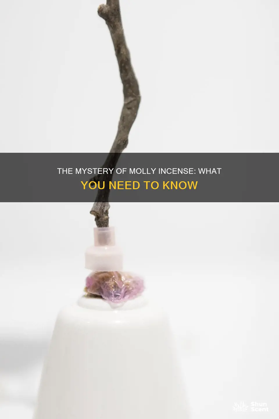 have you seen molly incense