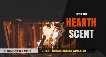 Haven and Hearth: Crafting Cozy Ambiance with Warm, Inviting Scents