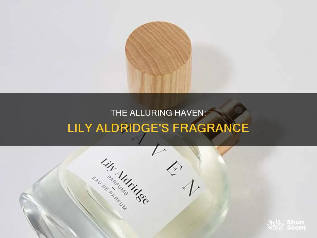 haven lily aldridge perfume