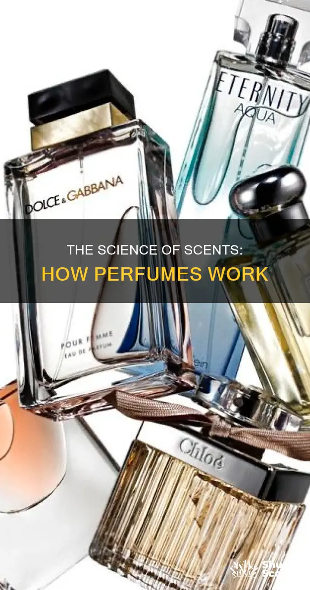 how a perfume works