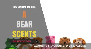 Build-A-Bear Scents: Uncovering the Accuracy of Their Aromatic Appeal