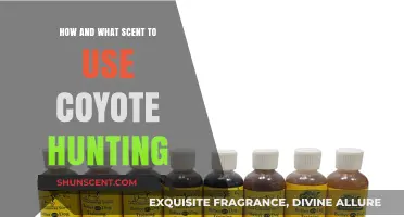 Master Coyote Hunting: Effective Scents and Application Techniques Revealed