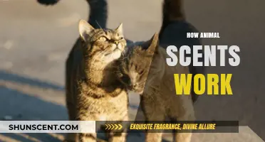 Unveiling the Secrets of Animal Scents: How They Communicate and Survive