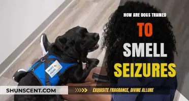 Seizure Detection: The Incredible Training of Canine Heroes