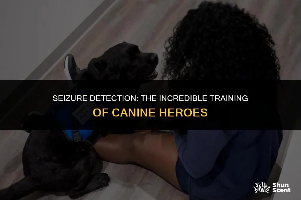 how are dogs trained to smell seizures