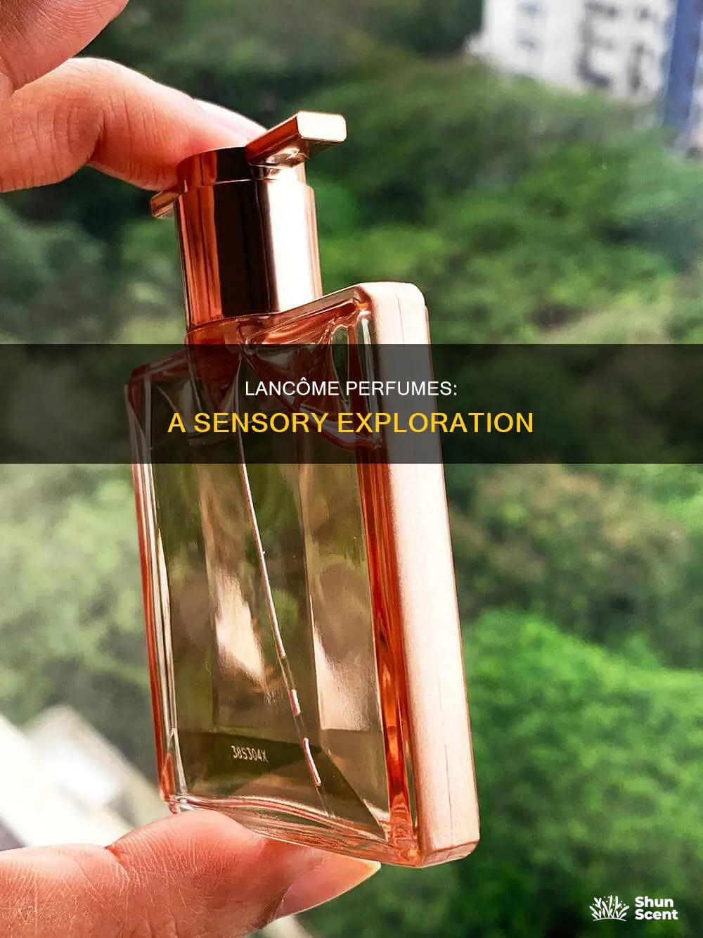 how are lancome perfumes
