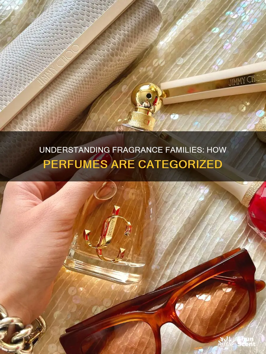 how are perfumes categorized