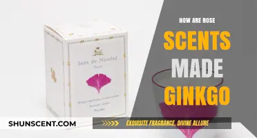 Crafting Rose Scents: The Surprising Role of Ginkgo Explained