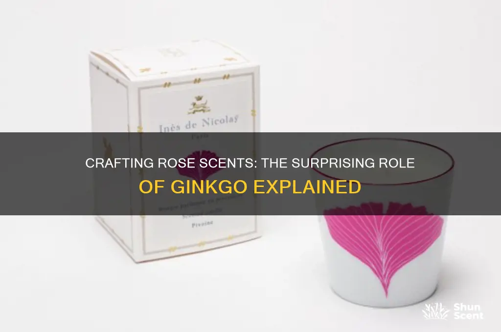 how are rose scents made ginkgo