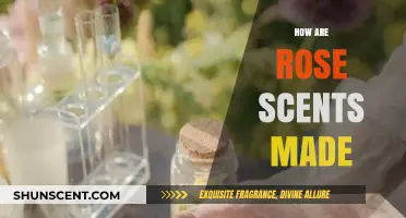 The Art of Rose Perfumery: Crafting Nature's Delicate Scents