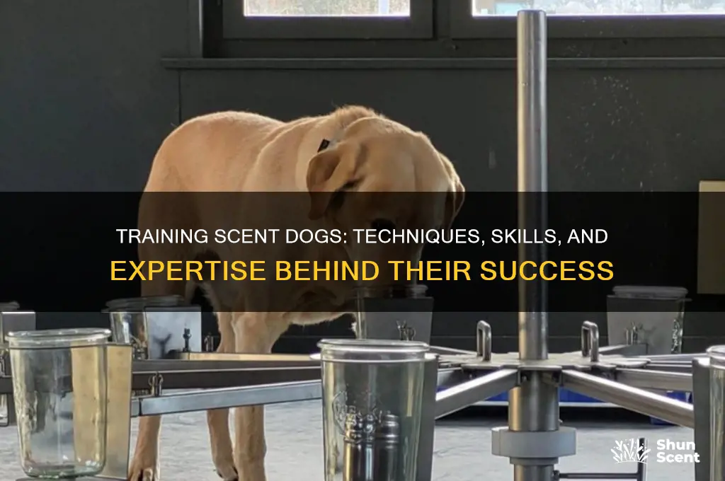 how are scent dogs trained