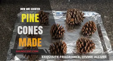 Crafting Aromatic Pine Cones: A Step-by-Step Scented Creation Guide