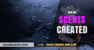 The Art of Scent Creation: Unveiling the Magic Behind Fragrances