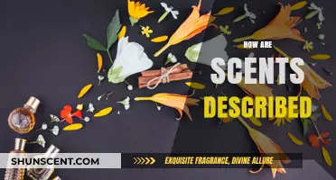 The Art of Scent Description: Unlocking the Language of Fragrance