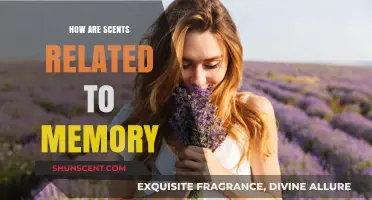 The Power of Scent: Unlocking Memories Through Aromatic Triggers