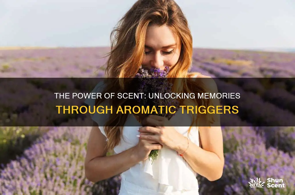 how are scents related to memory