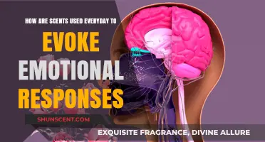 Scents and Sensibility: How Everyday Aromas Shape Our Emotions
