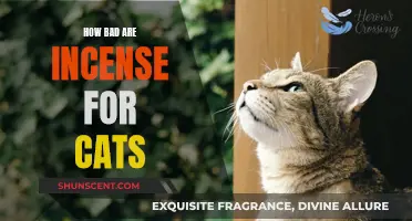 Incense and Cats: A Toxic Relationship?