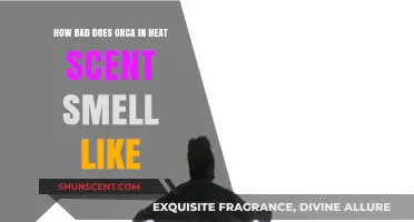 Unbearable Orca Heat Scent: How Bad Does It Really Smell?