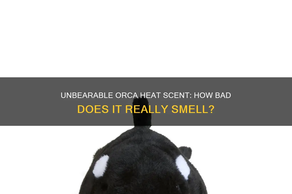 how bad does orca in heat scent smell like