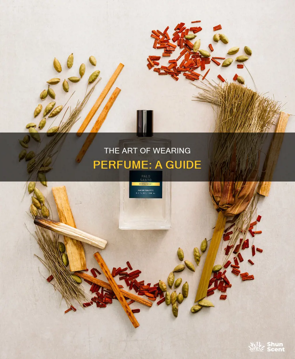how best to wear perfume