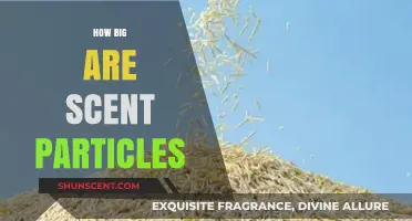 Unveiling the Microscopic World: Understanding the Size of Scent Particles