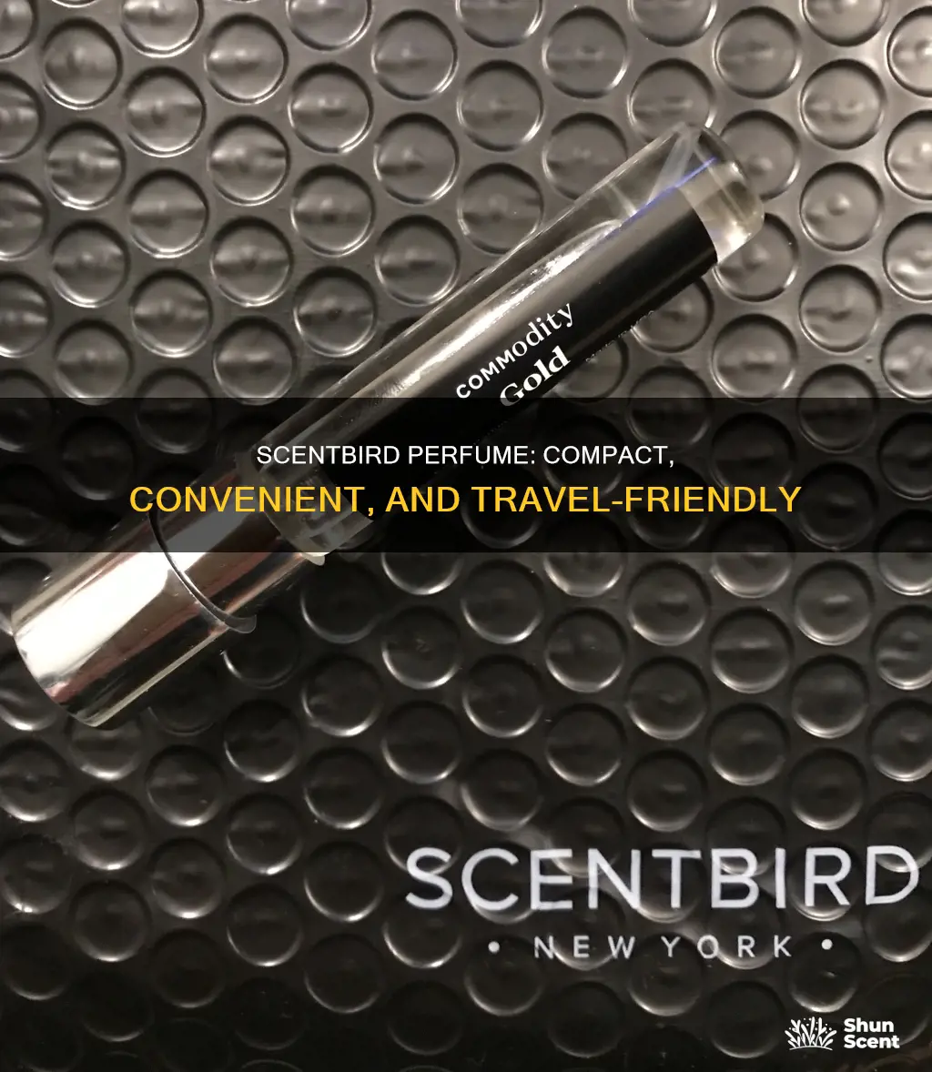 how big are scentbird perfumes