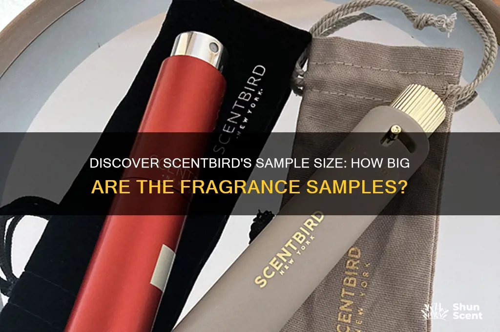 how big are the scent samples from scent bird