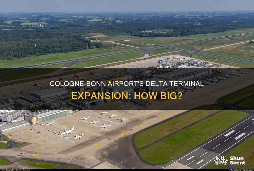 how big can cologne be airport delta