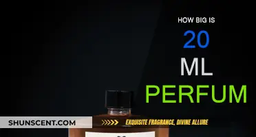 Understanding the Size of Standard Perfume Bottles