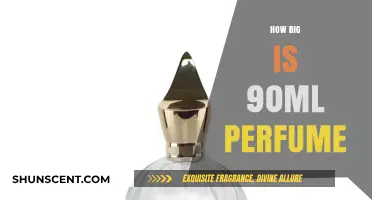 A Decent-Sized Scent: Understanding 90ml of Perfume