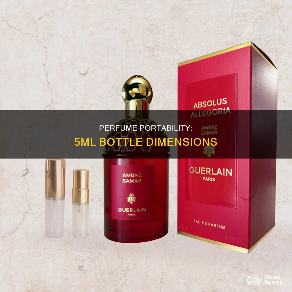 how big is a 5 ml bottel of perfume