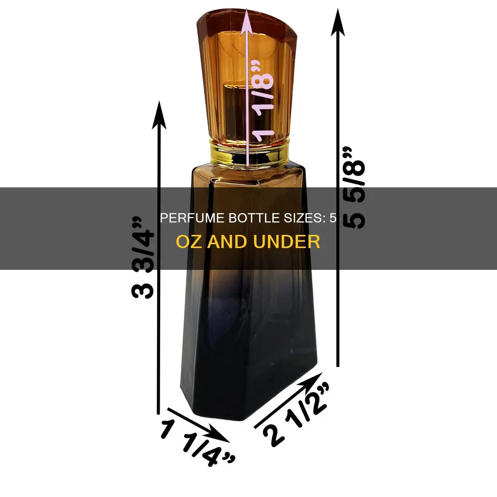 how big is a 5 oz bottle of perfume