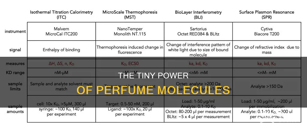 how big is a perfume molecule