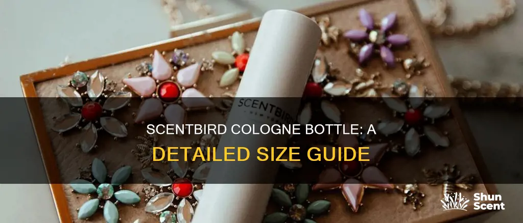 how big is scentbird cologne bottle