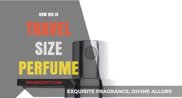 Travel-Size Perfumes: How Big Are They Really?
