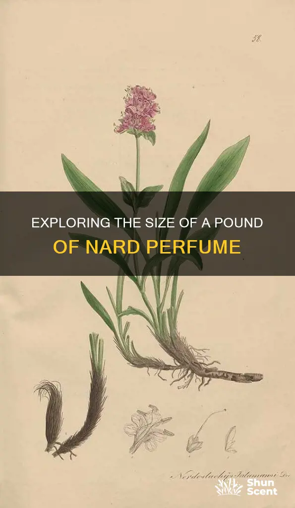 how big would a pound of nard perfume be