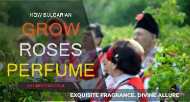 Bulgarian Rose Perfumes: Secrets of the Valley