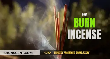 Incense Burning: A Beginner's Guide to Getting Started